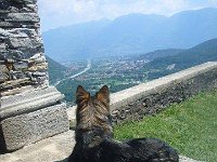Ki-Shani